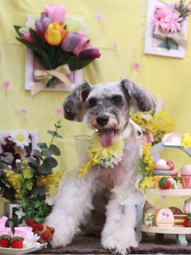 20230314CHACHAちゃん